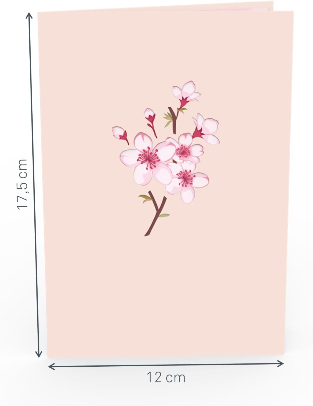 papercrush® Pop-Up Karte Kirschblueten Baum - 3D Geburtstagskarte mit Sakura Blueten fuer Frau, Freundin & Partnerin, Handgemachte Glueckwunschkarte zum Jahrestag & Hochzeitstag, Karte zur Geburt Maedchen