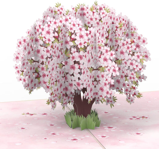 papercrush® Pop-Up Karte Kirschblueten Baum - 3D Geburtstagskarte mit Sakura Blueten fuer Frau, Freundin & Partnerin, Handgemachte Glueckwunschkarte zum Jahrestag & Hochzeitstag, Karte zur Geburt Maedchen